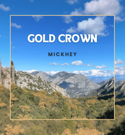 Mickhey - Gold Crown